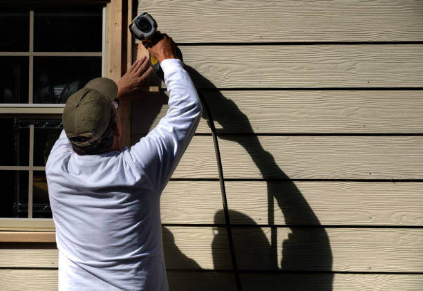 Best Custom Siding Design  in Charleston, MS