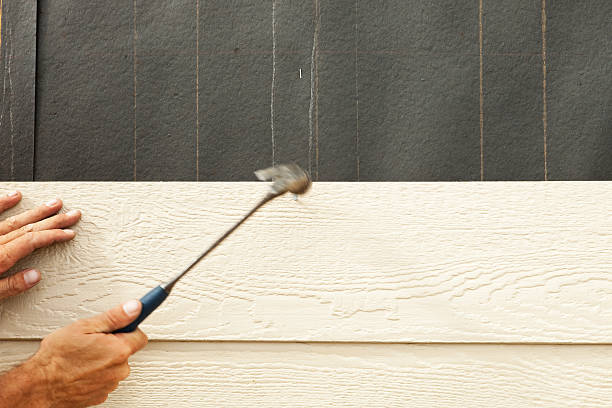 Best Wood Siding Installation  in Charleston, MS